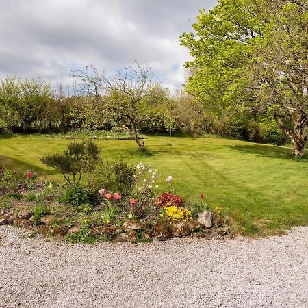 Llys Onnen - North Wales Holiday Cottage 莫尔德 外观 照片