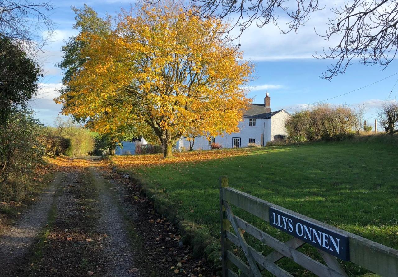 Llys Onnen - North Wales Holiday Cottage 莫尔德 外观 照片