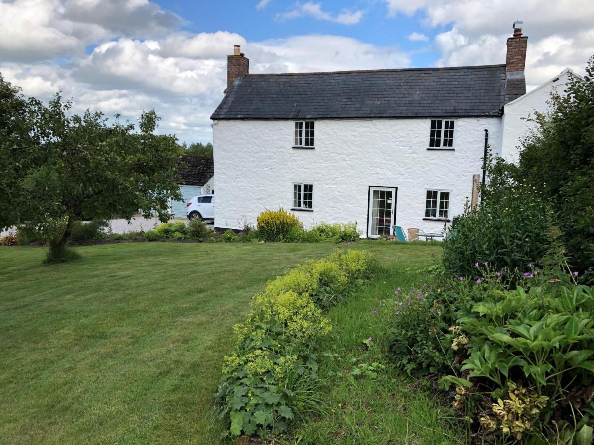 Llys Onnen - North Wales Holiday Cottage 莫尔德 外观 照片