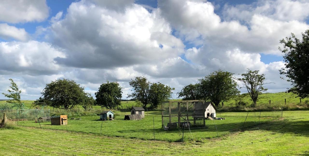 Llys Onnen - North Wales Holiday Cottage 莫尔德 外观 照片