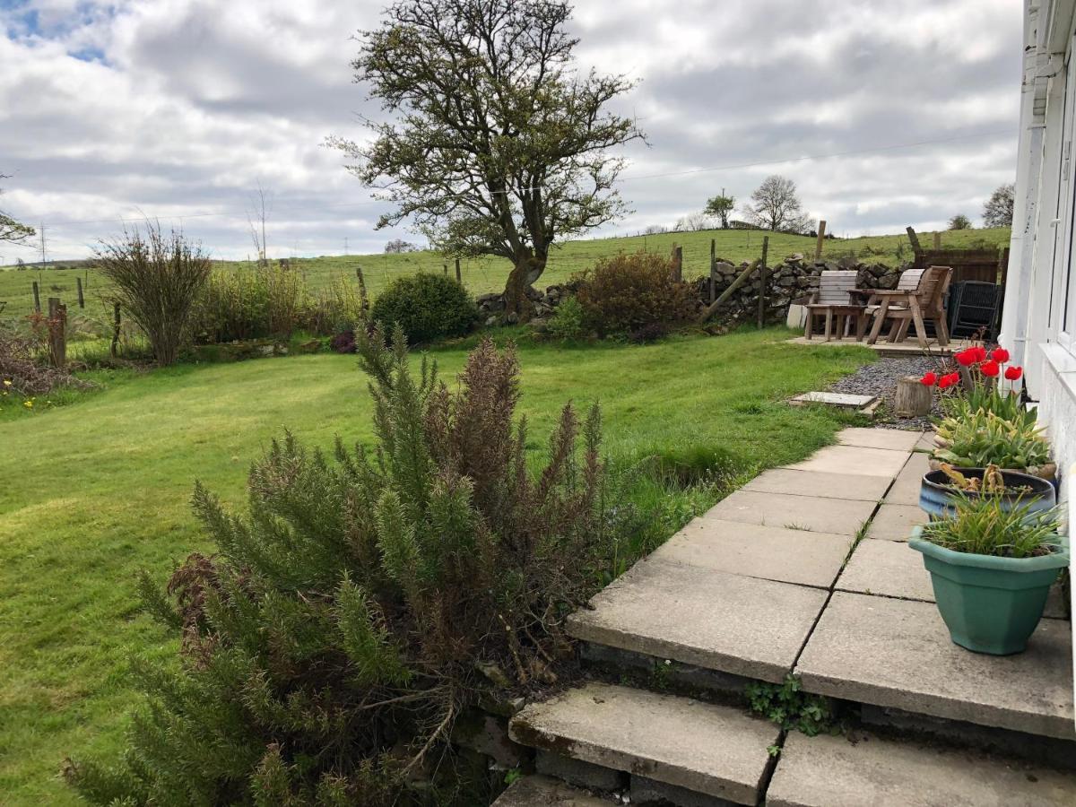 Llys Onnen - North Wales Holiday Cottage 莫尔德 外观 照片